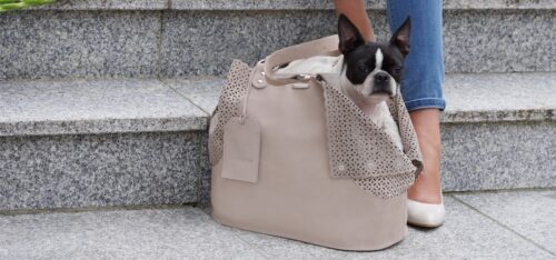 Labbvenn-Elva-Hundetragtasche