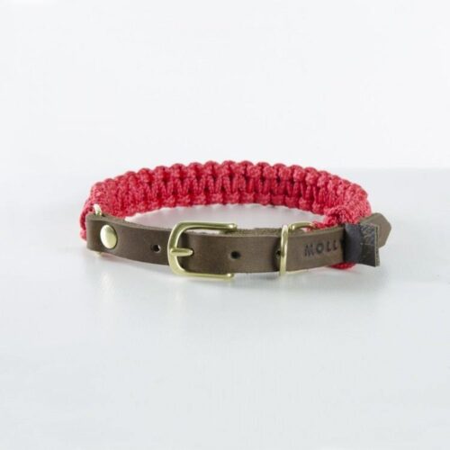 Molly and Stitch Hundehalsband Touch of Leather lipstick gold