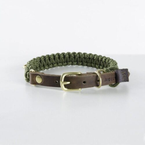 Molly and Stitch Hundehalsband Touch of Leather olivgrün gold