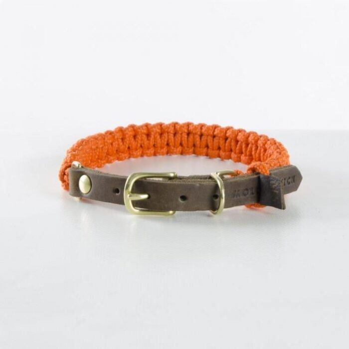 Molly and Stitch Hundehalsband Touch of Leather pumpkin gold