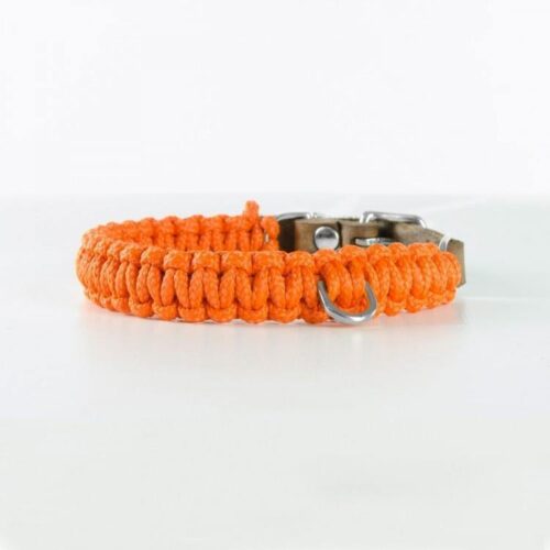 Molly and Stitch Hundehalsband Touch of Leather pumpkin silber