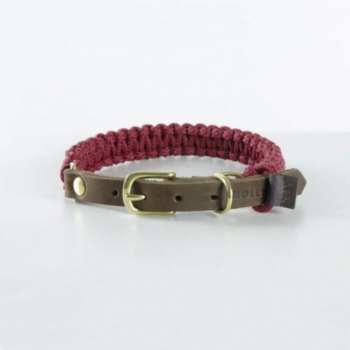 Molly and Stitch Hundehalsband Touch of Leather redwine gold
