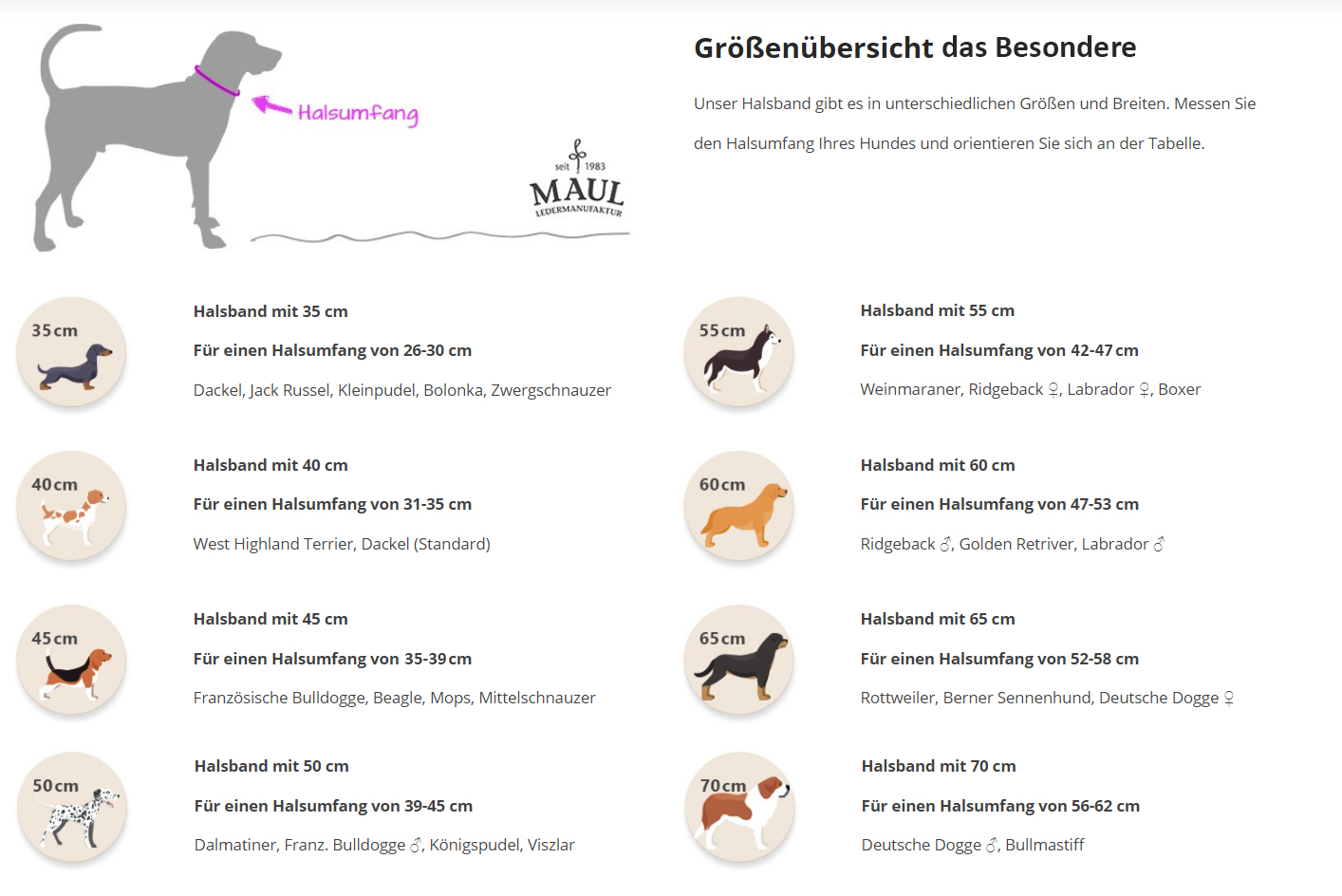 Premium Leder Waldsheriff Hundehalsband grün.braun1