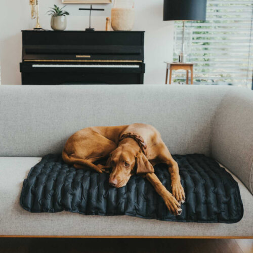 Hunter Monaco Hundedecke schwarz 2