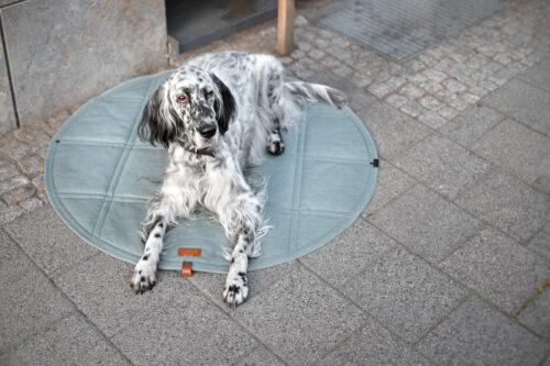 Labbvenn Okka Reisematte für Hunde soft teal